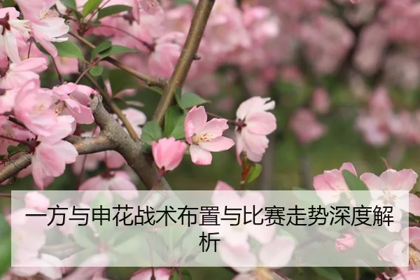 一方与申花战术布置与比赛走势深度解析